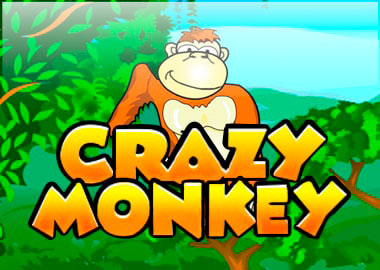 Crazy Monkey